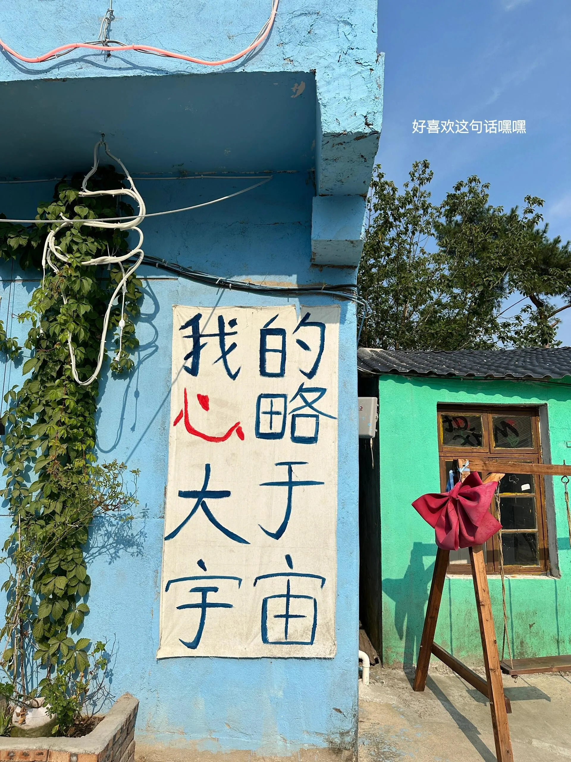 Image 12