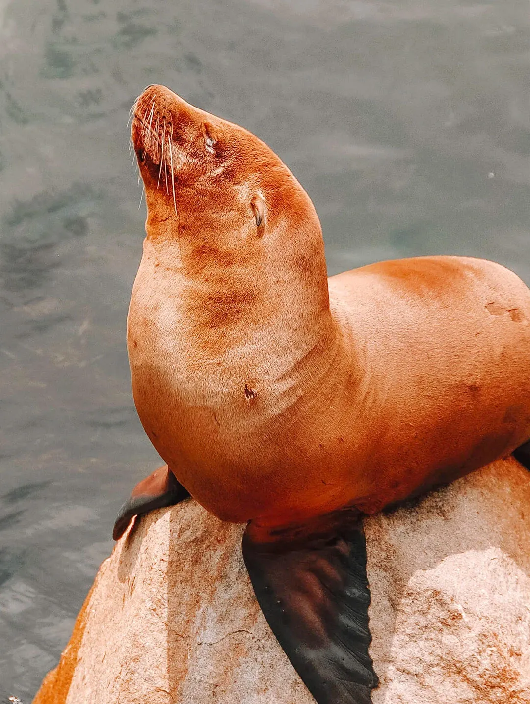 秋冬交替时节的加州之旅：一号公路与优胜美地的6日游攻略