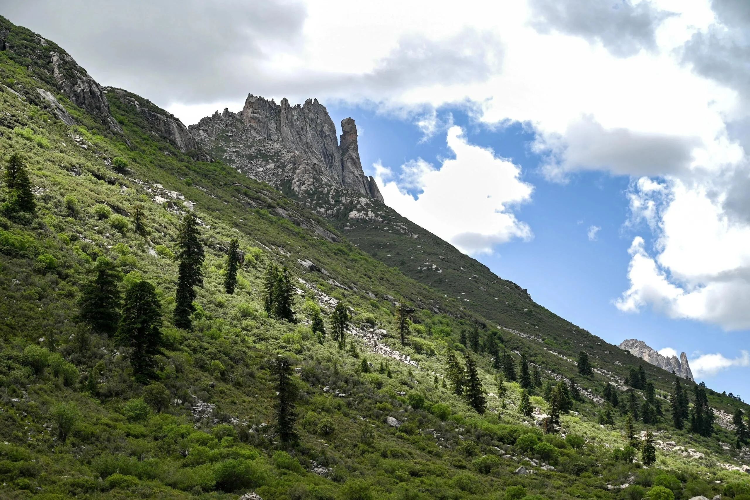 Image 14