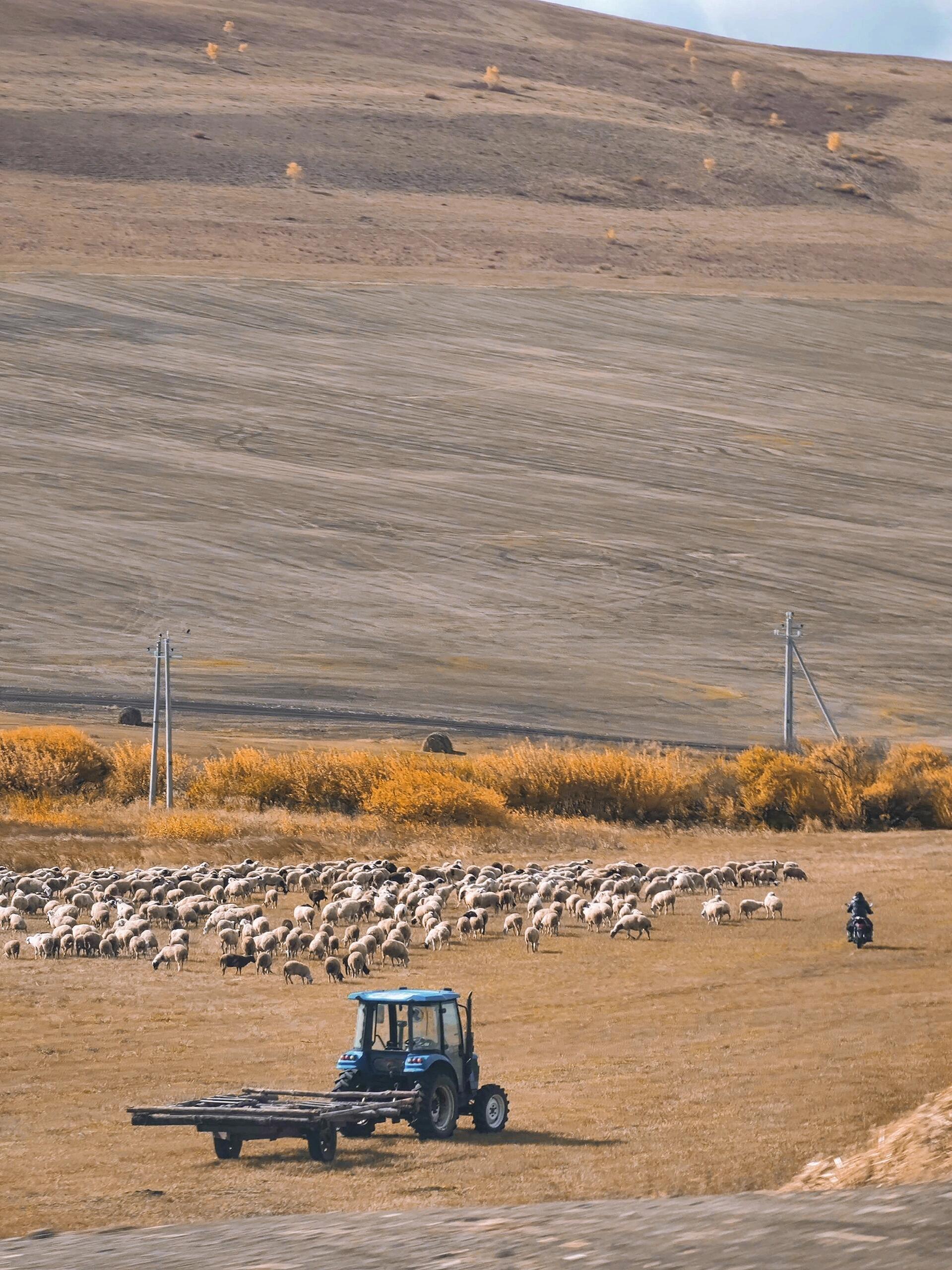 内蒙旅游费用大概多少钱，内蒙古什么时候去旅游最舒服，纯玩推荐