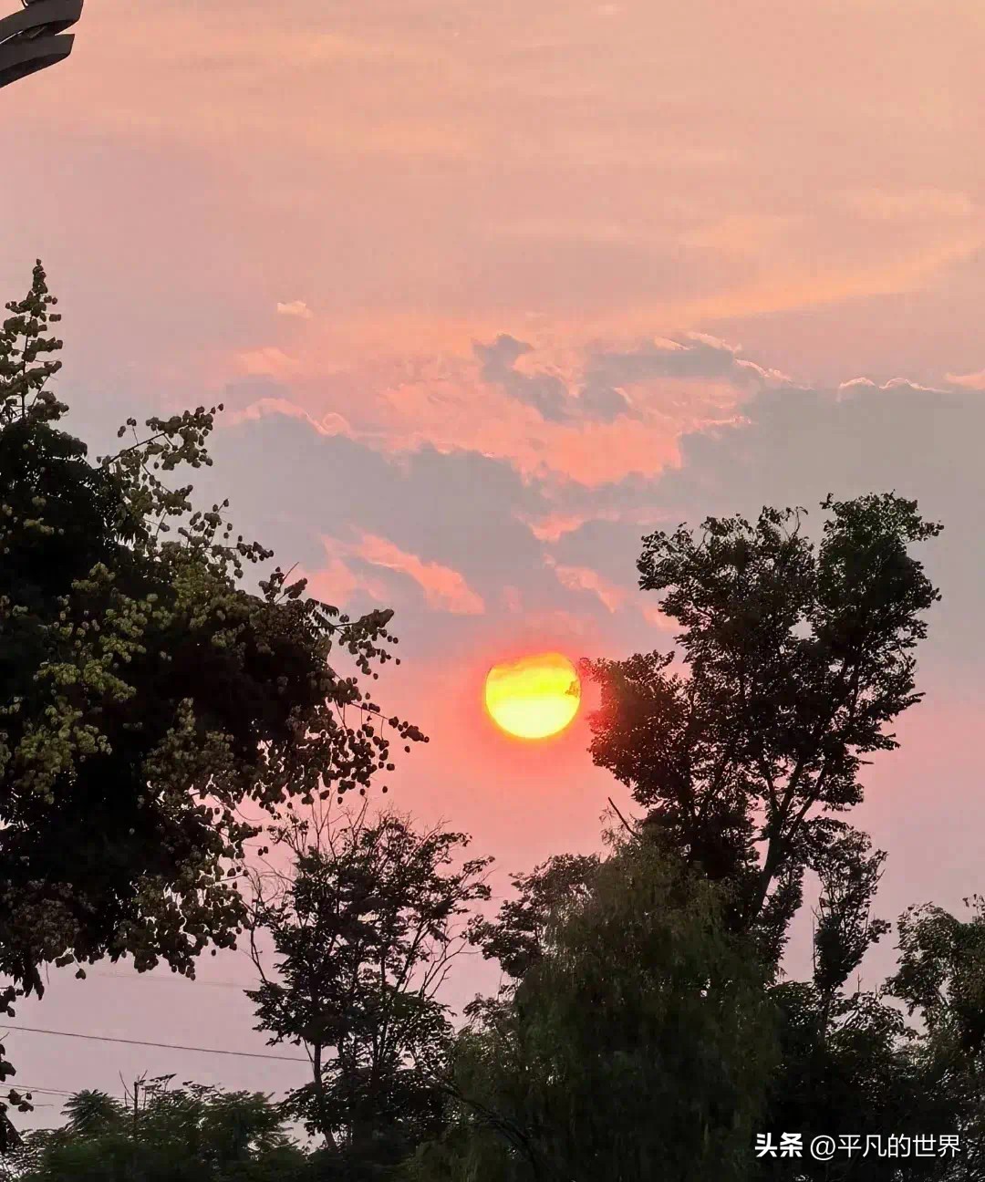 你错过了这个阶段的A股，就要承担最大的股票投资不赚钱的风险