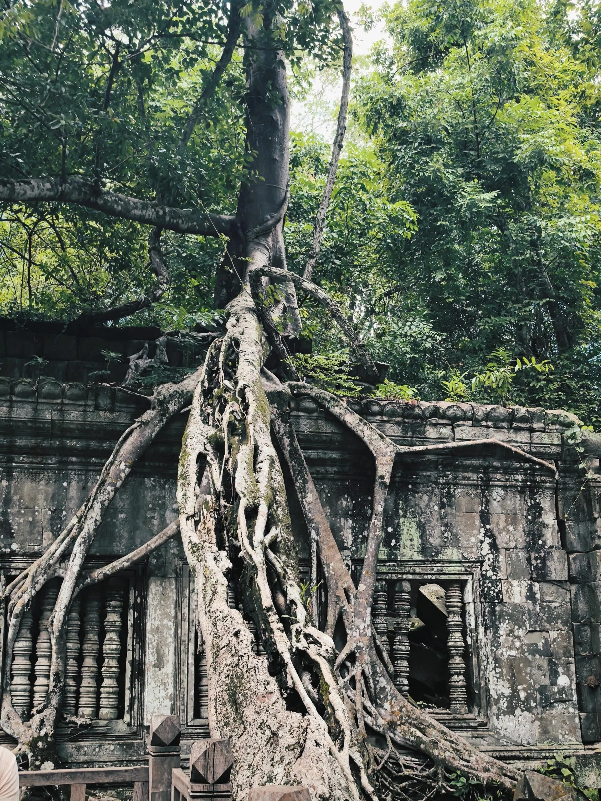柬埔寨之旅：探秘吴哥窟，感受历史魅力