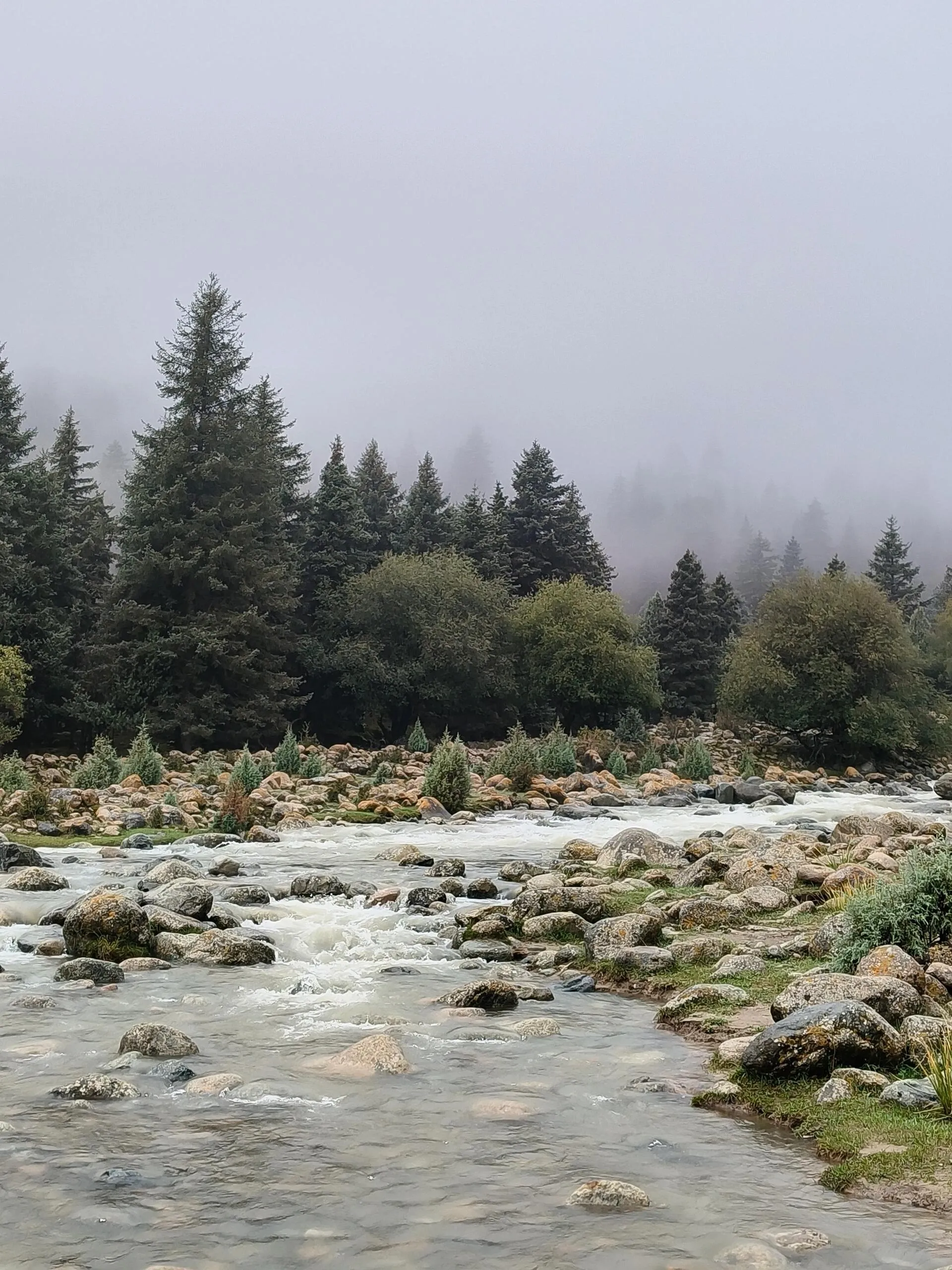 Image 14