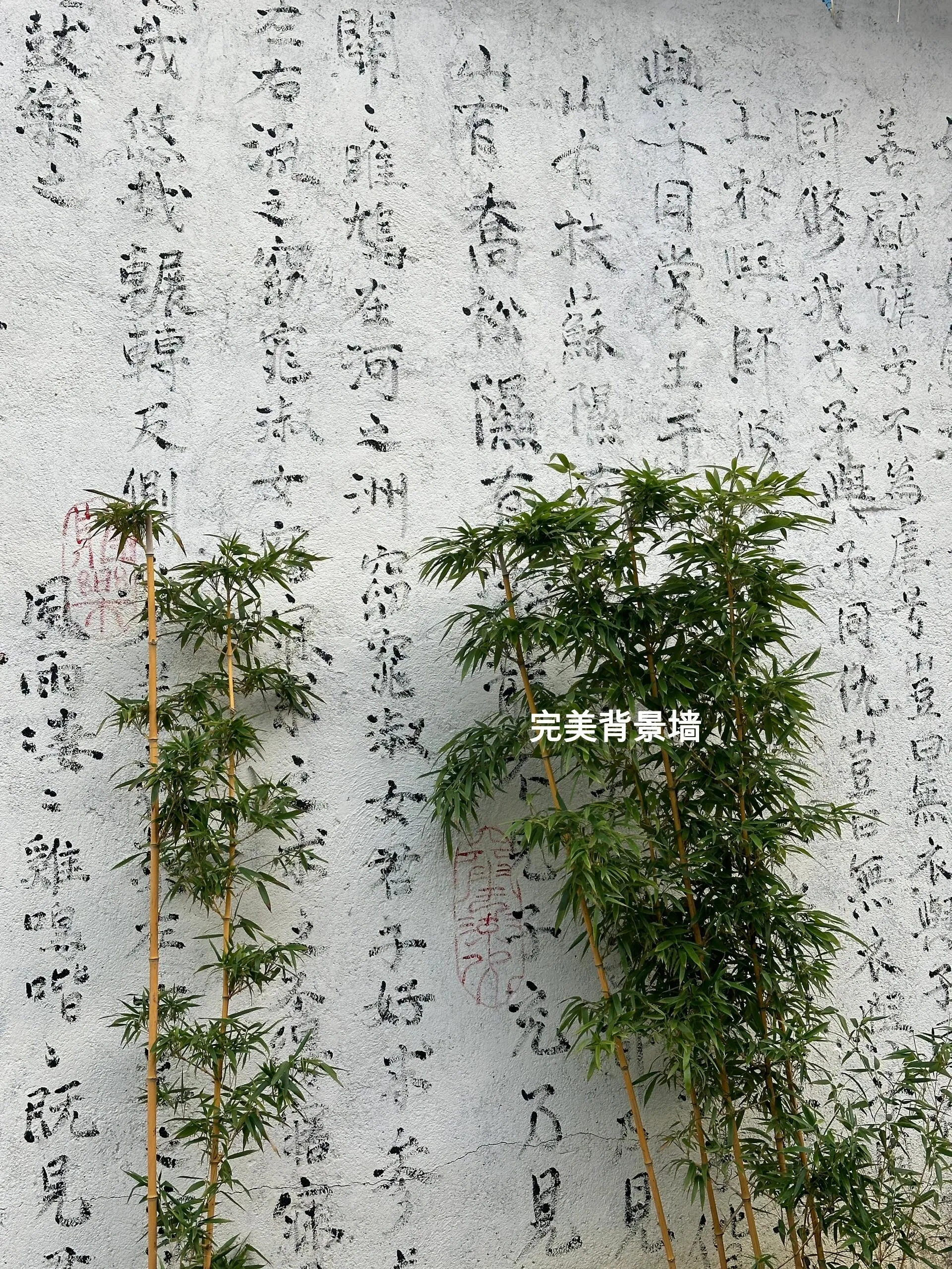 Image 13