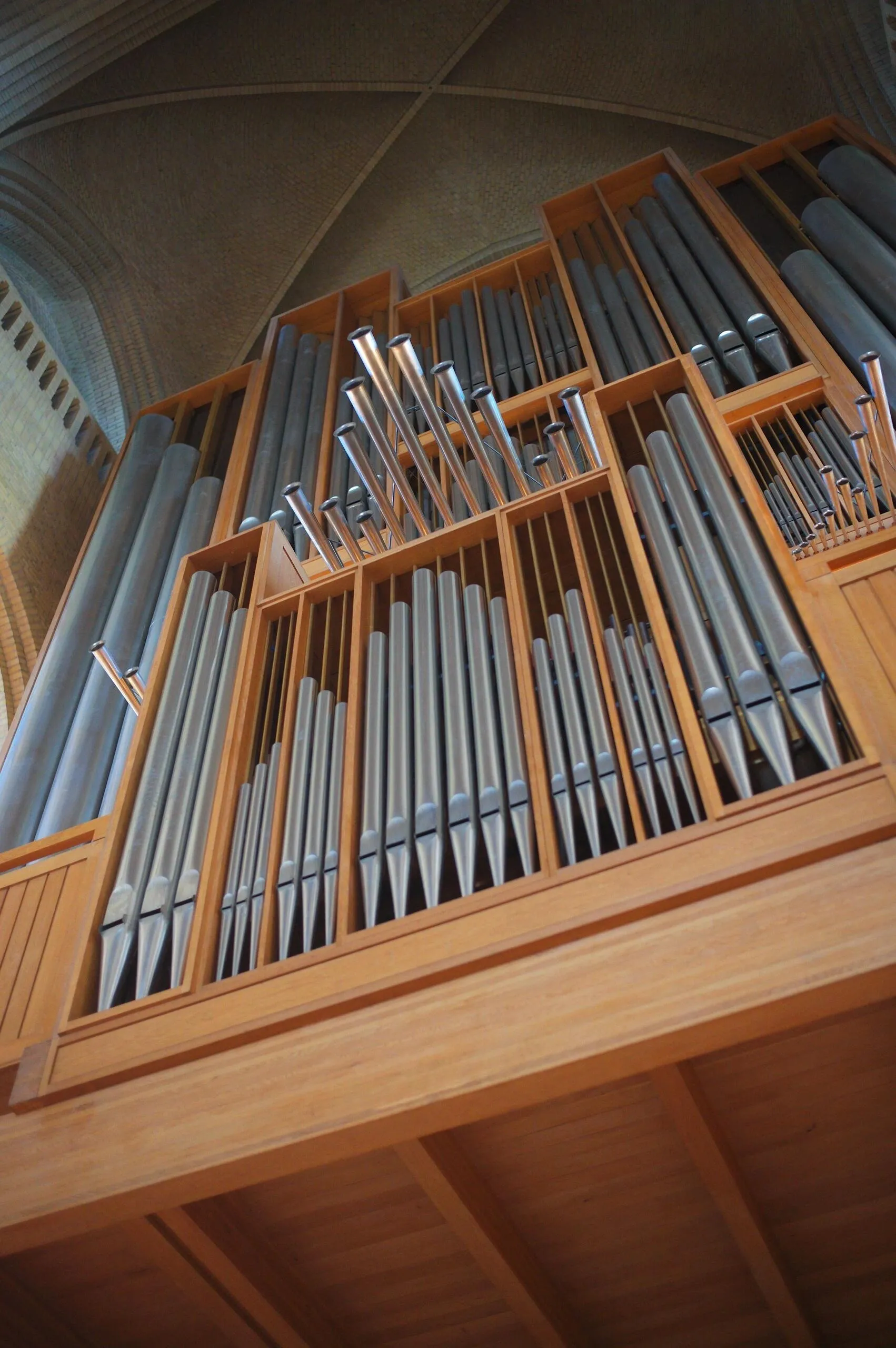 Image 8