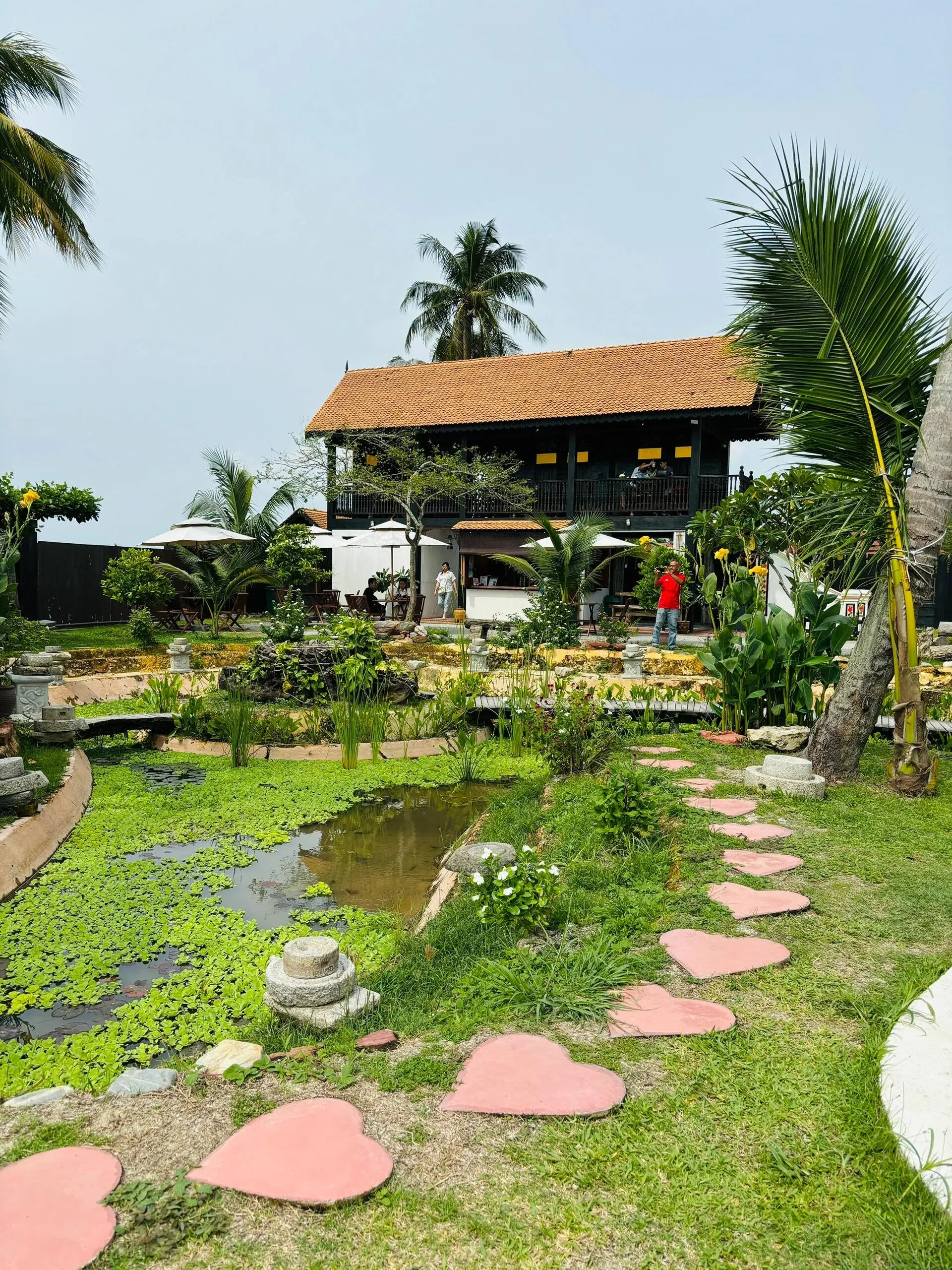 Image 11