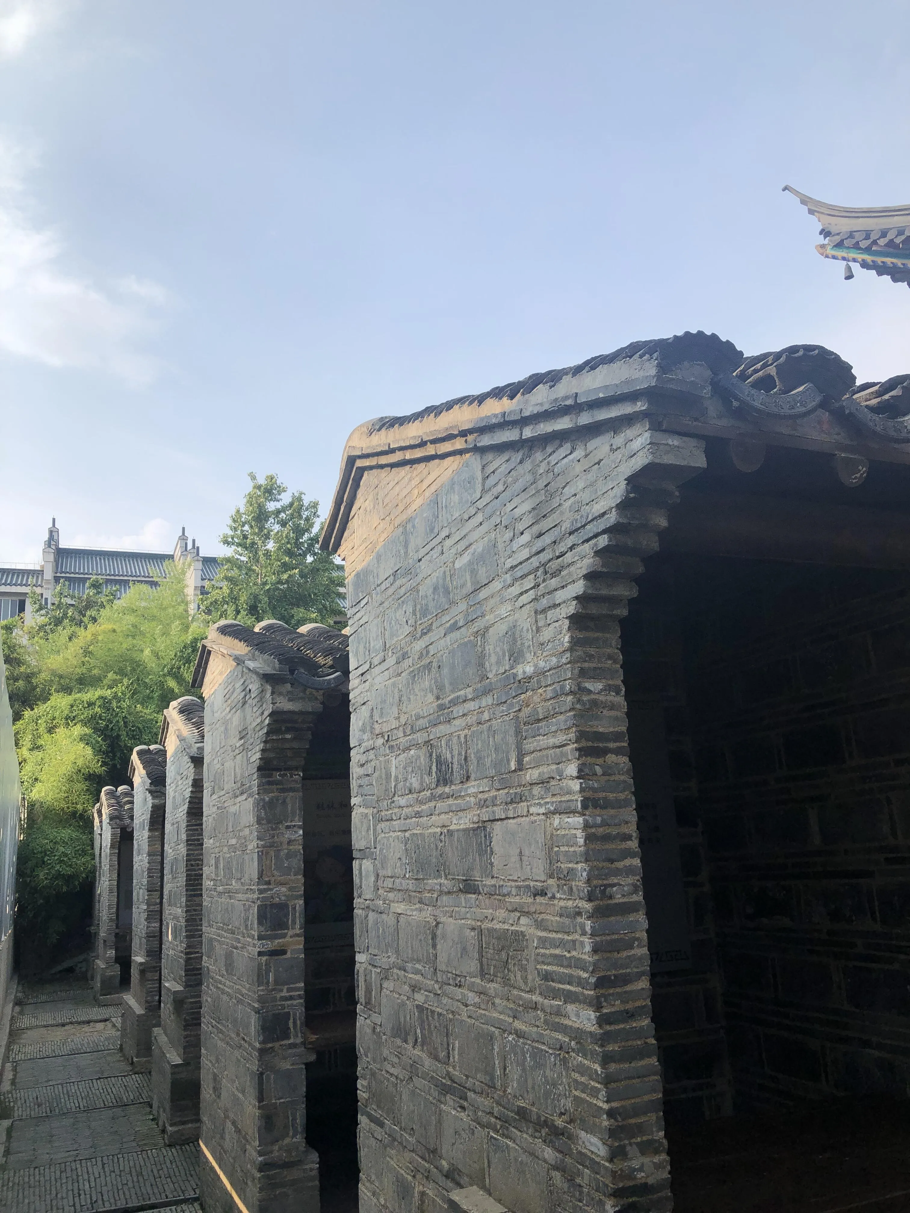 Image 15