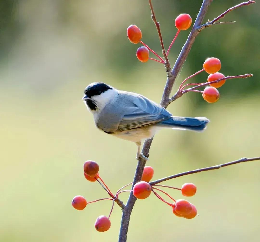 人在什么时候最明白？（精辟）
