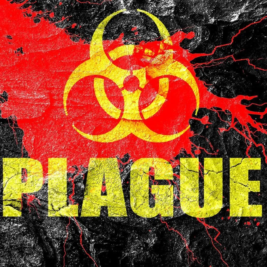 古人说：大疫不过三年，从人类历史上看此话不无道理