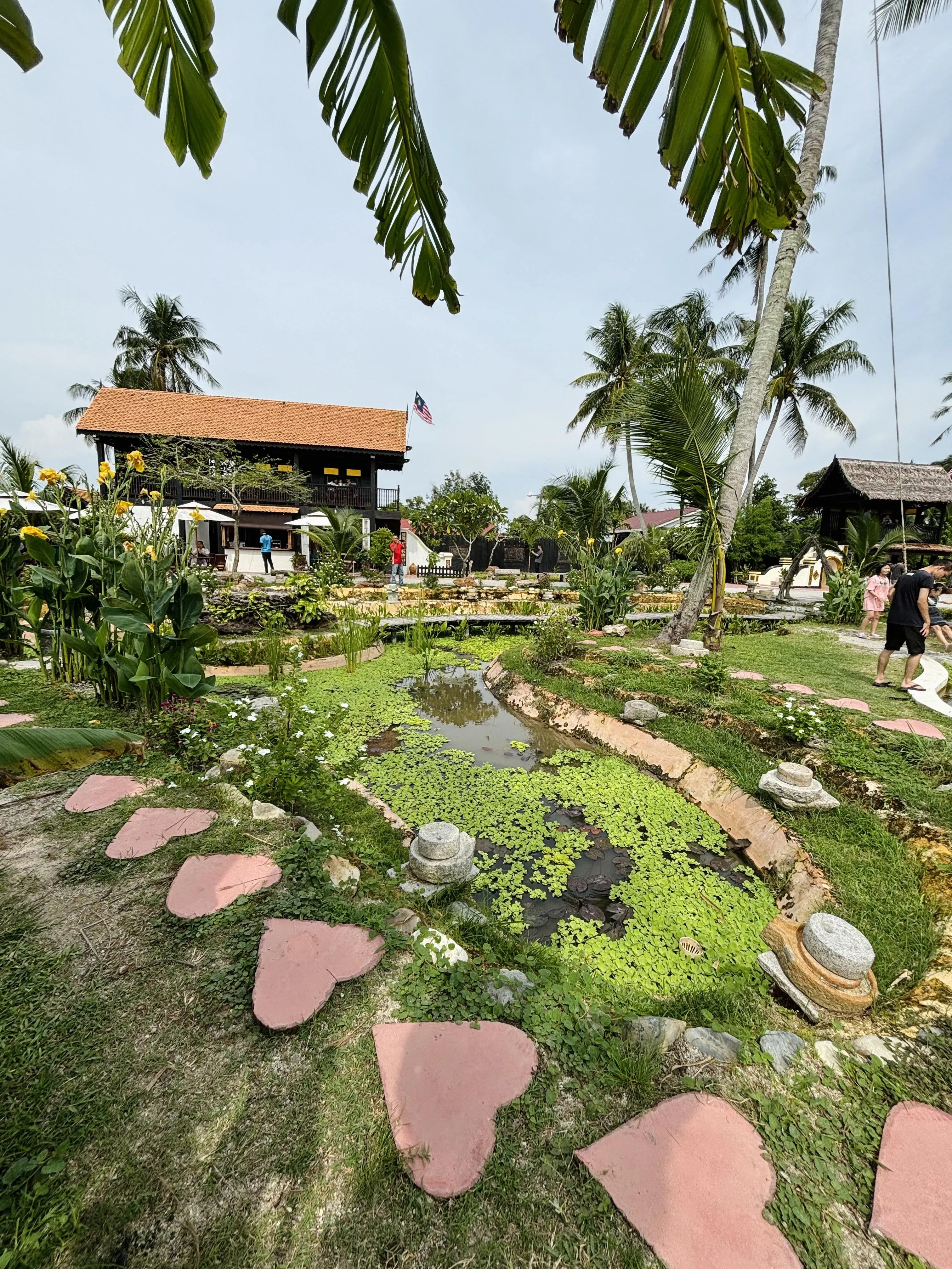 Image 13