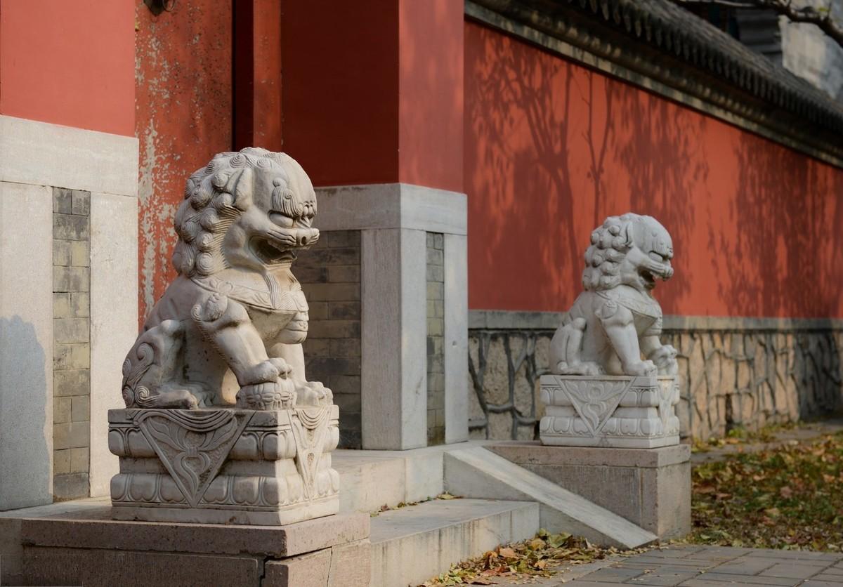 怎么区别大门外的石狮子是雄狮还是雌狮？