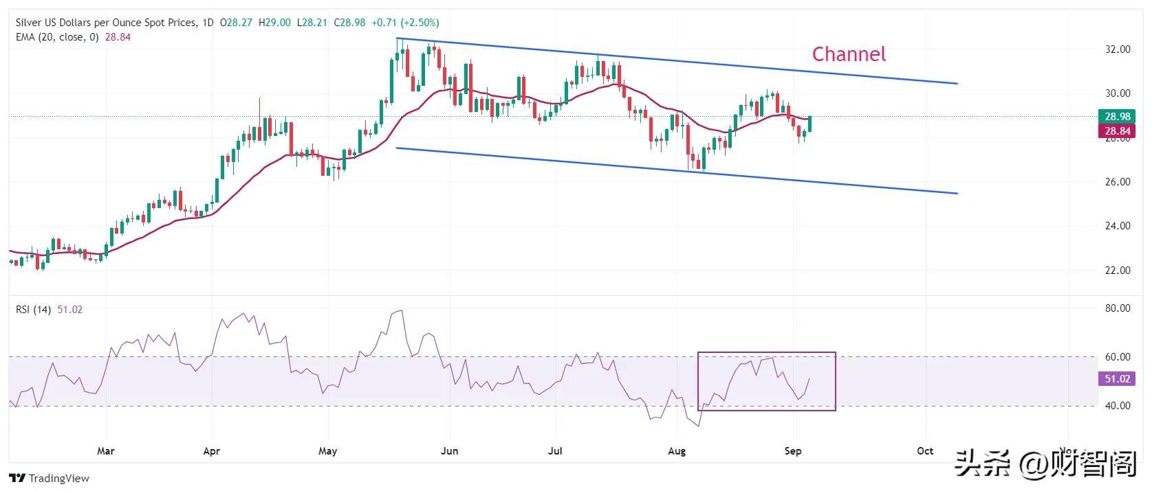 白银价格预测：白银反弹至29 附近，因美联储进一步降息押注膨胀