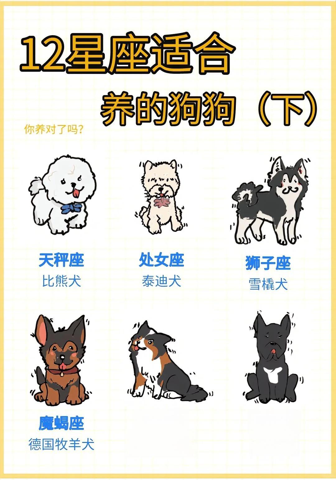 十二星座的命定小狗，你的小狗是什么呢？