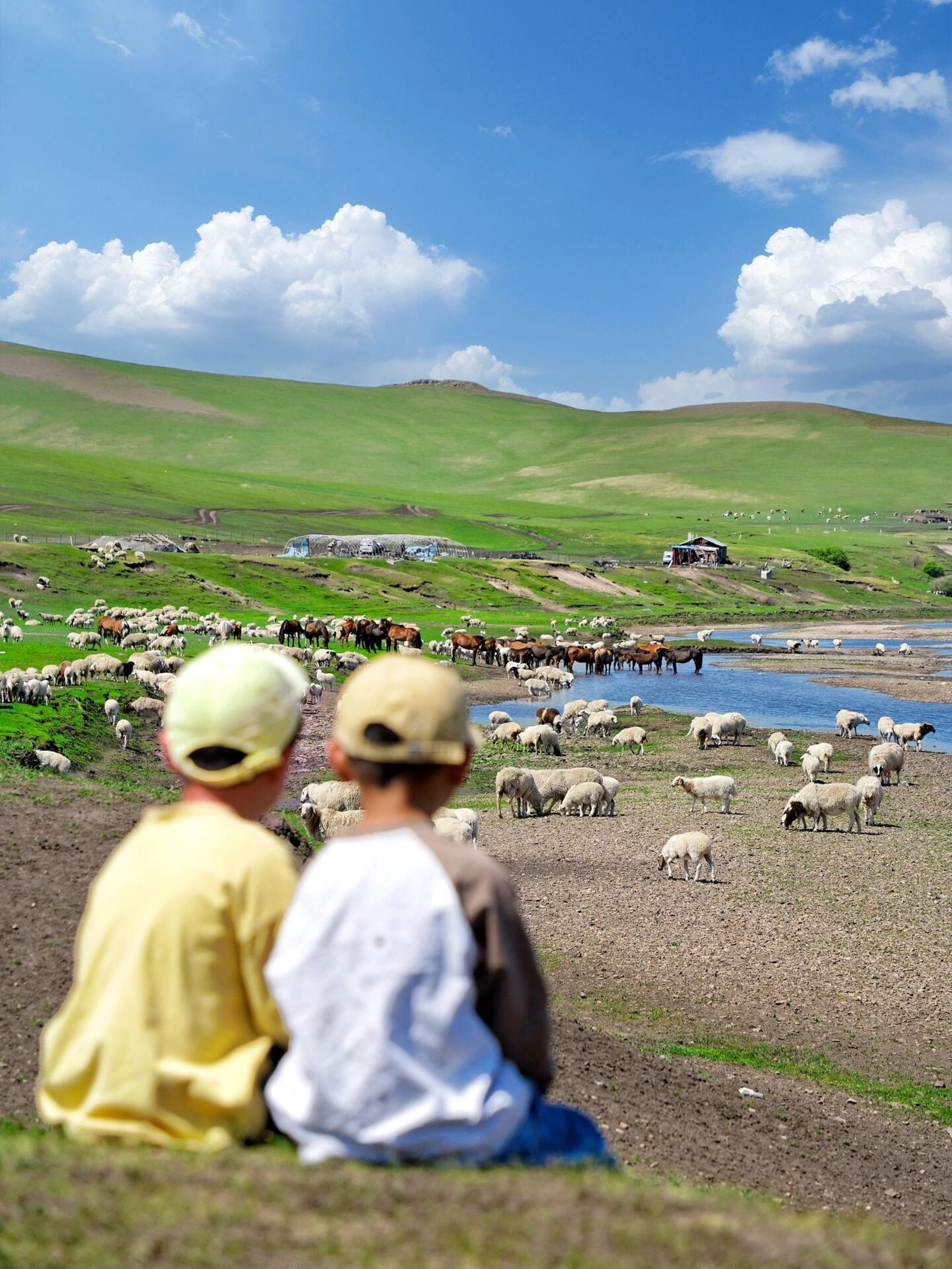 带娃亲子游内蒙6日游多少钱，内蒙旅游景点门票攻略，最新最全