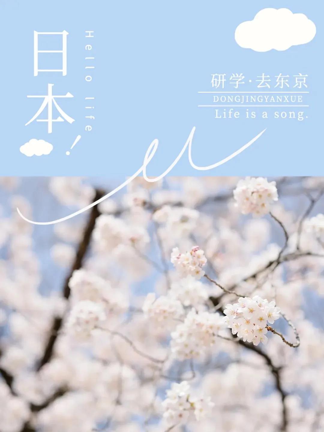 量化宽松要来了，“央妈”买还是不买？