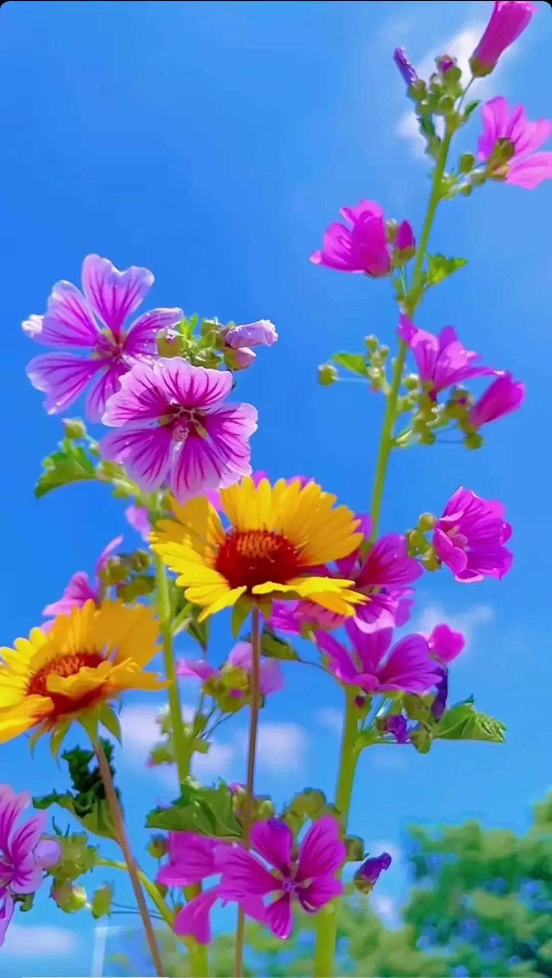 名人名言这20个著名的励志名言