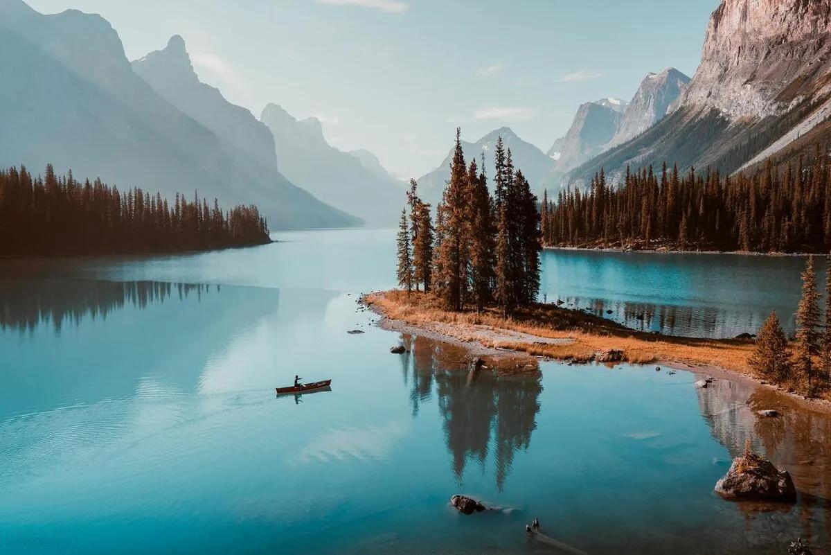 外汇交易中常见的技术指标有哪些？