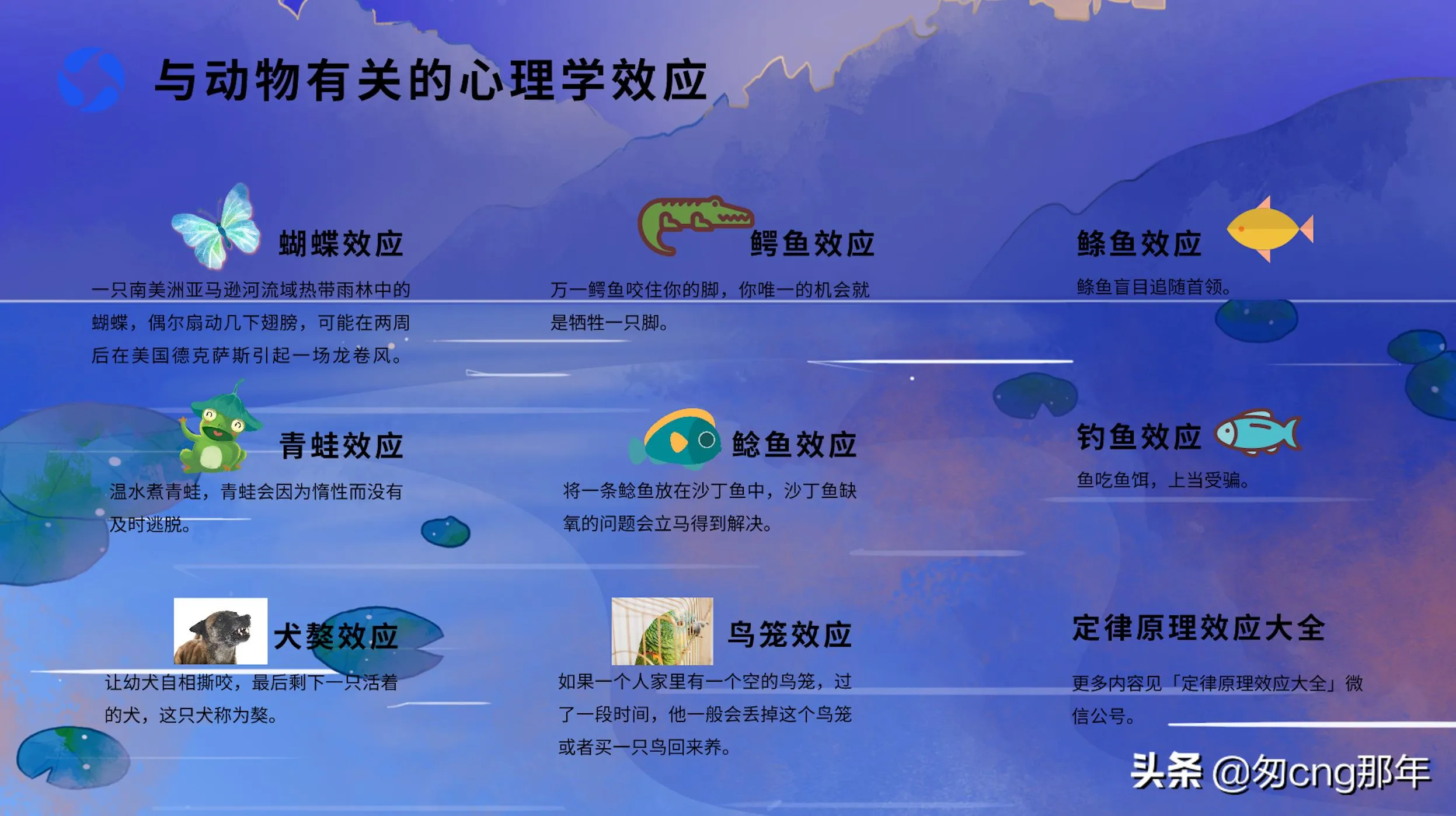 8个与动物有关的心理学效应