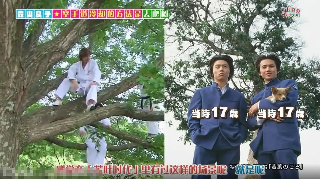 19通路 1-4列 1/2 17時 KinKi Kids 大阪ドーム 1-4枚