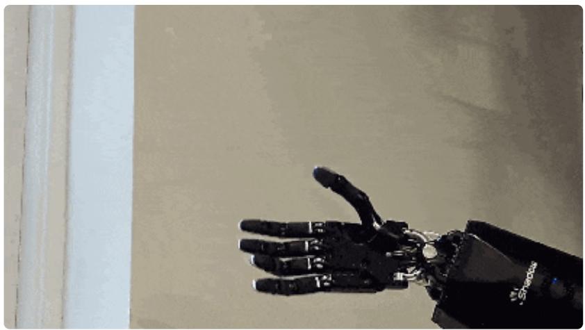 Core technologies of robotic dexterous hands