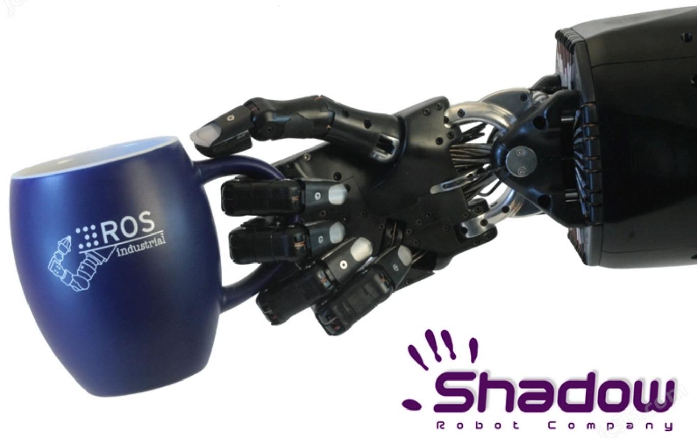 Algorithm controlling robotic hand grasp